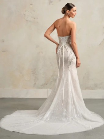 Sottero and Midgley Almudena by Sottero & Midgley #1 All Ivory (with ivory illusion) thumbnail